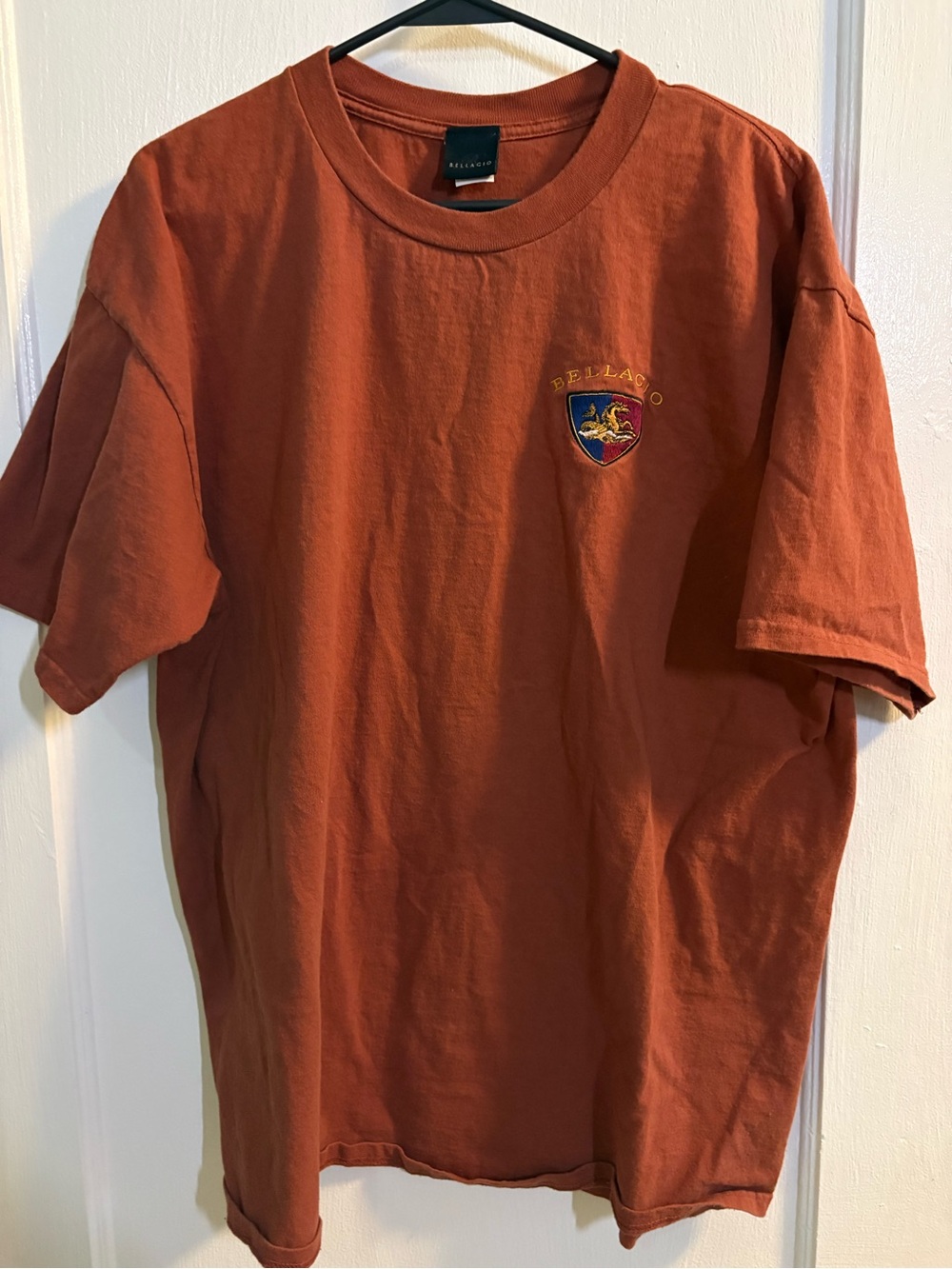 Short Sleeve Crewneck T-Shirt in Rust